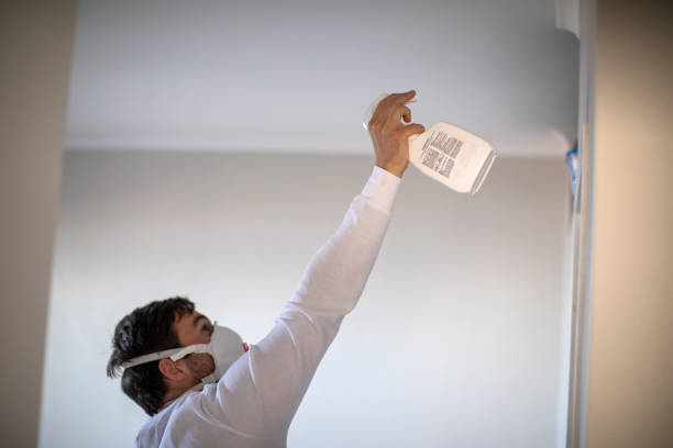 Best Toxic Mold Removal  in Perth Amboy, NJ