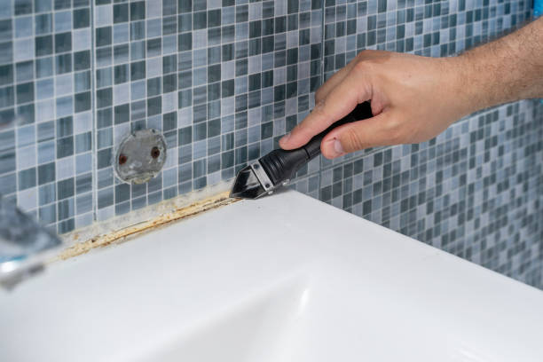 Best Office Mold Removal Services  in Perth Amboy, NJ
